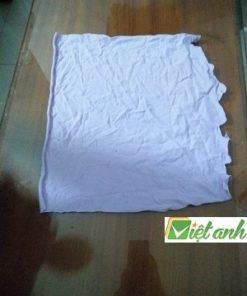 GIẺ LAU MÀU TRẮNG