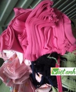 GIẺ LAU RỜI NHỎ