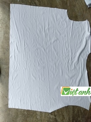 RẺ LAU KHÔNG BỤI RẺ LAU KHÔNG BỤI