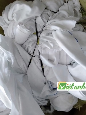 RẺ LAU MÀU TRẮNG RẺ LAU MÀU TRẮNG