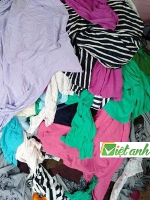 DẺ LAU TẠI BÌNH DƯƠNG M_08