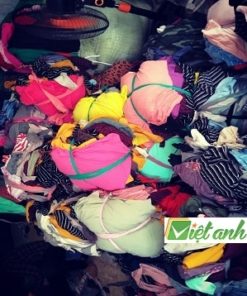 GIẺ LAU MIỀN NAM