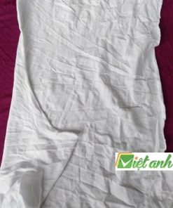 GIẺ LAU TRẮNG BIÊN HOÀ