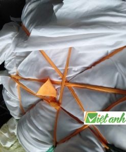 GIẺ LAU TẠI TPHCM