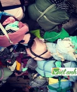 GIẺ LAU ĐỒNG NAI